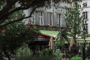 Enlèvement arbre urgence Le Petit-Quevilly